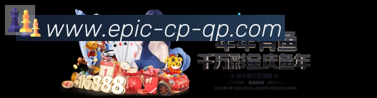 未来规划